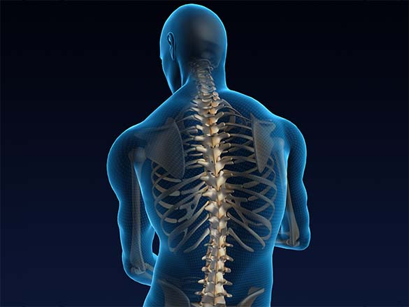 脊椎・脊髄疾患の診断と治療